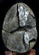 Septarian Dragon Egg Geode - Brown Crystals #36051-1